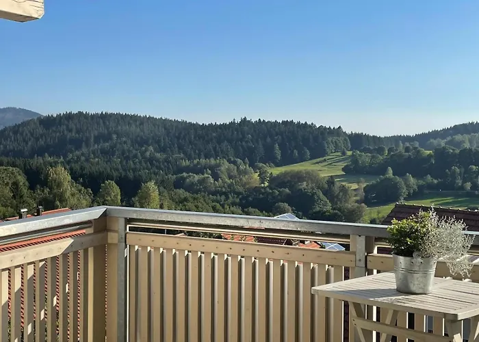 Haus Paradies Superior Fewo\'S Loft, Terrasse, Private Sauna, Aktiv Card, Sankt Englmar