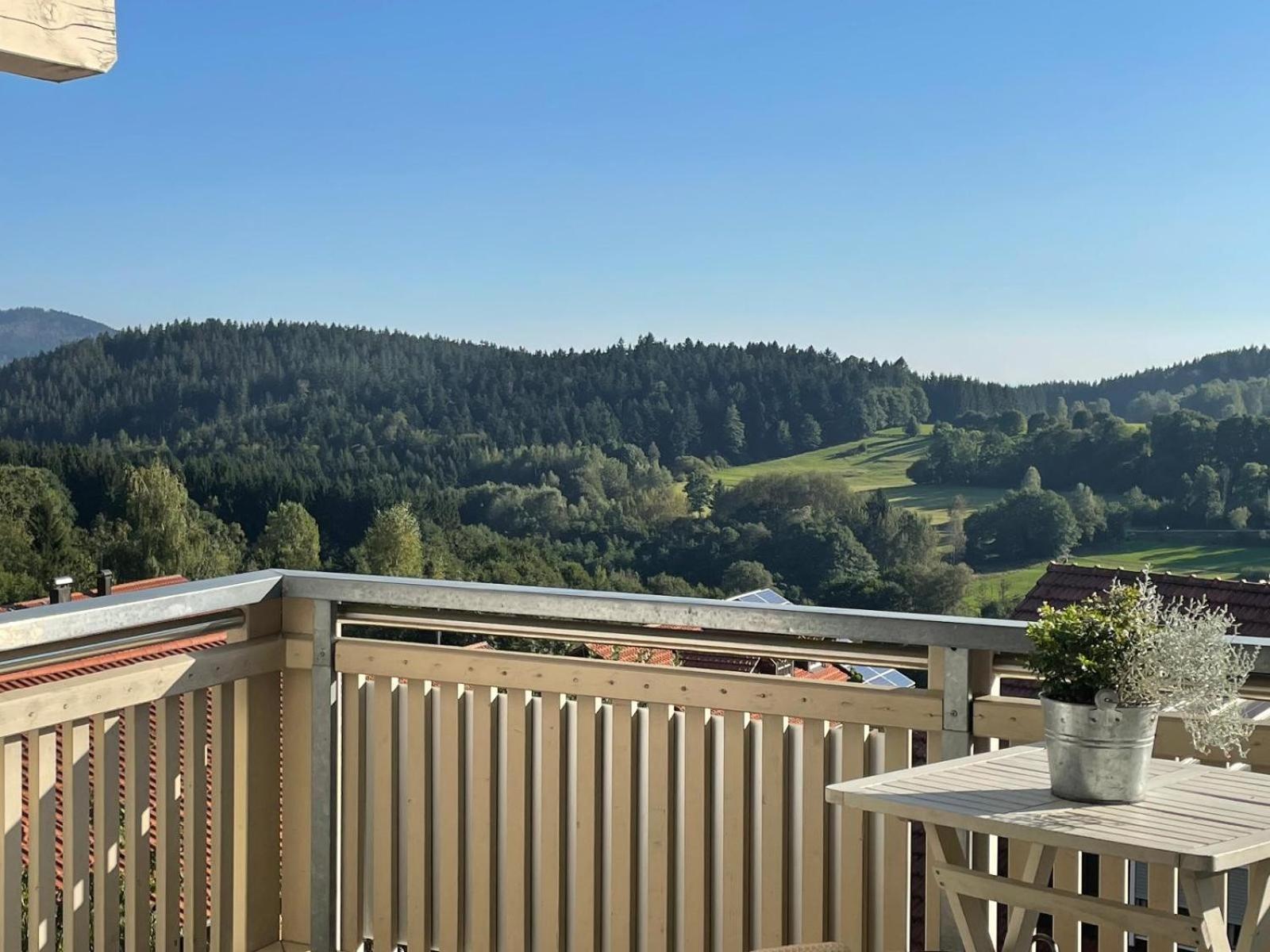 Haus Paradies Superior Fewo's Loft, Terrasse, Private Sauna, Aktiv Card, Apartment *